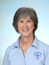 Ann Higgins